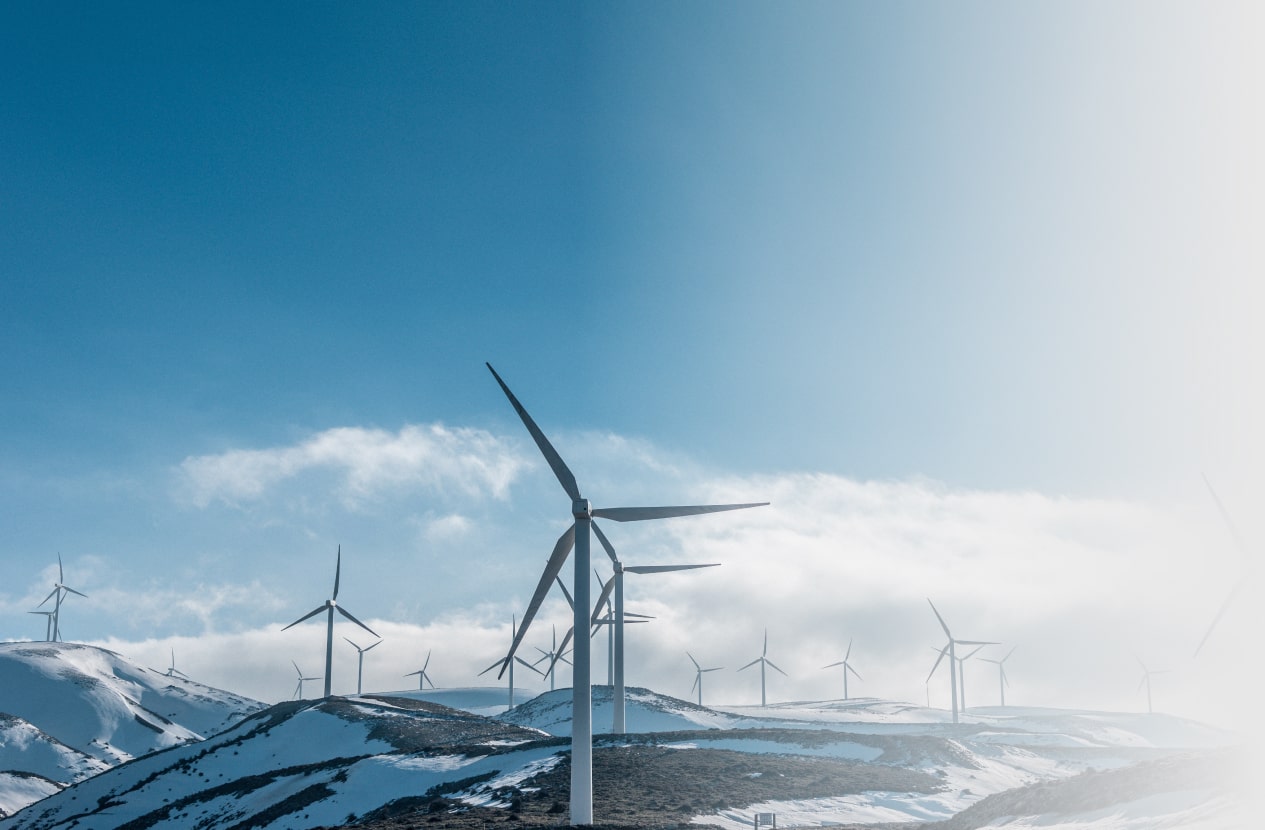 bg-изображение